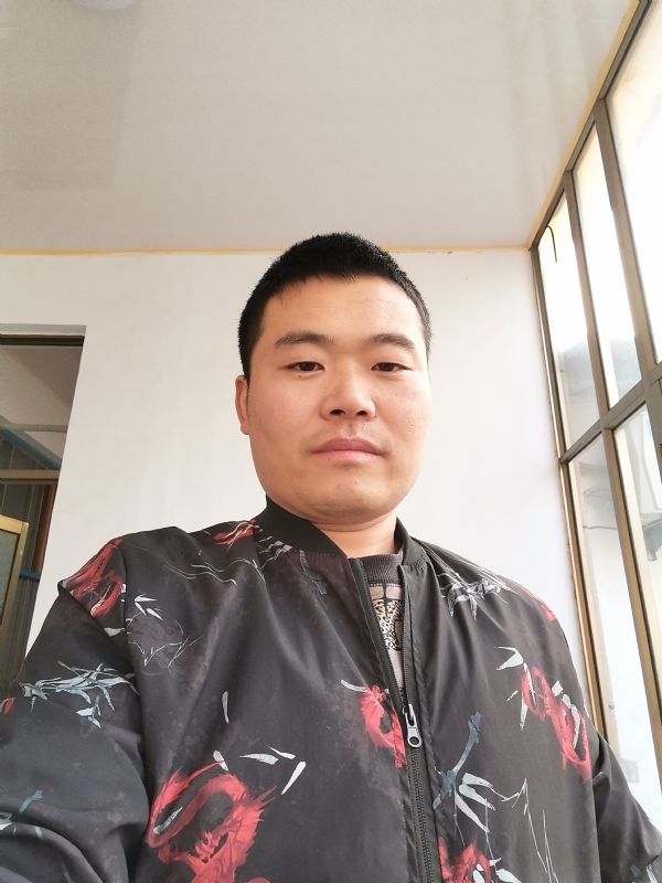 会飞的猪的第一张照片--山东认干亲服务网